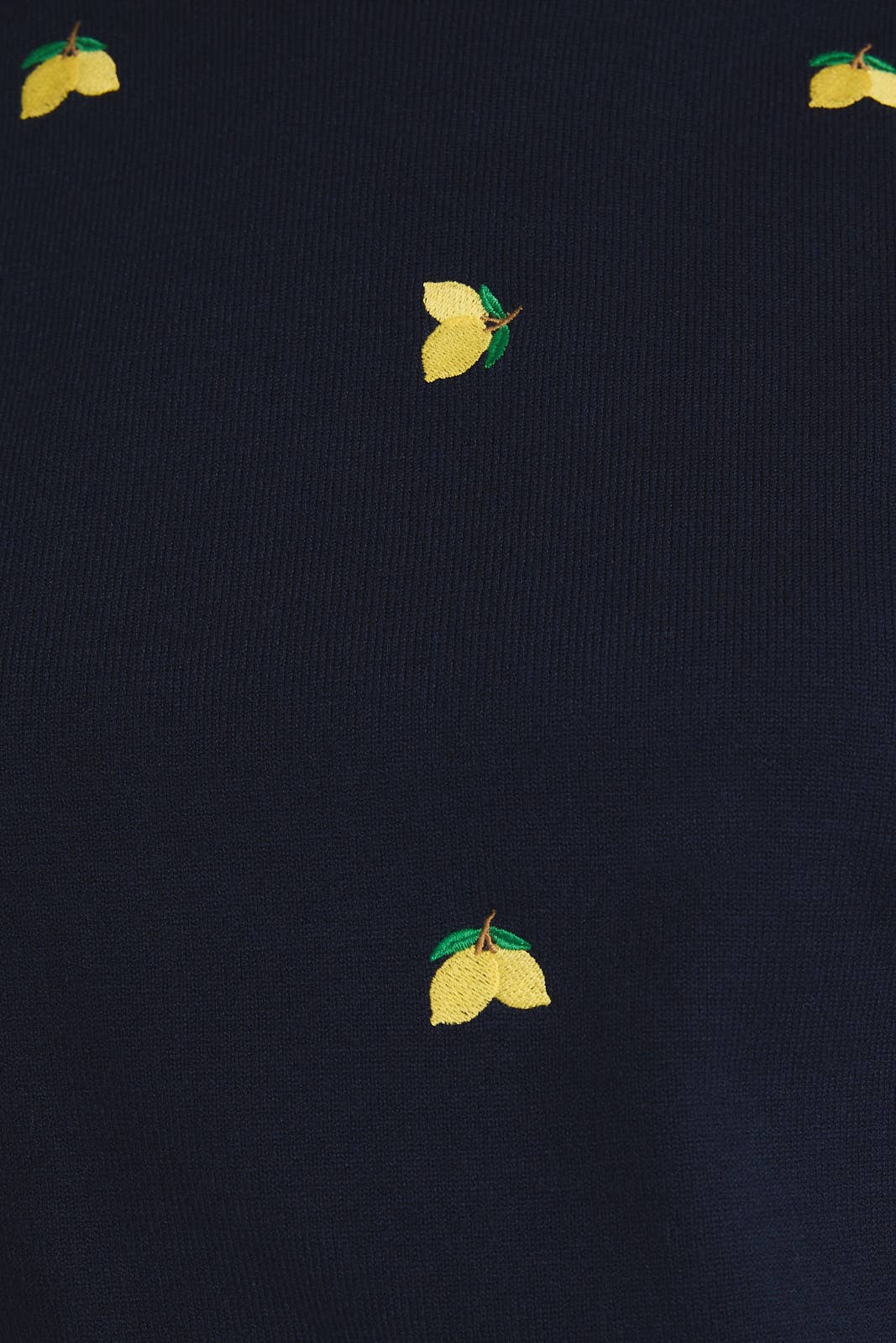Lemon Embroidered Knit Top