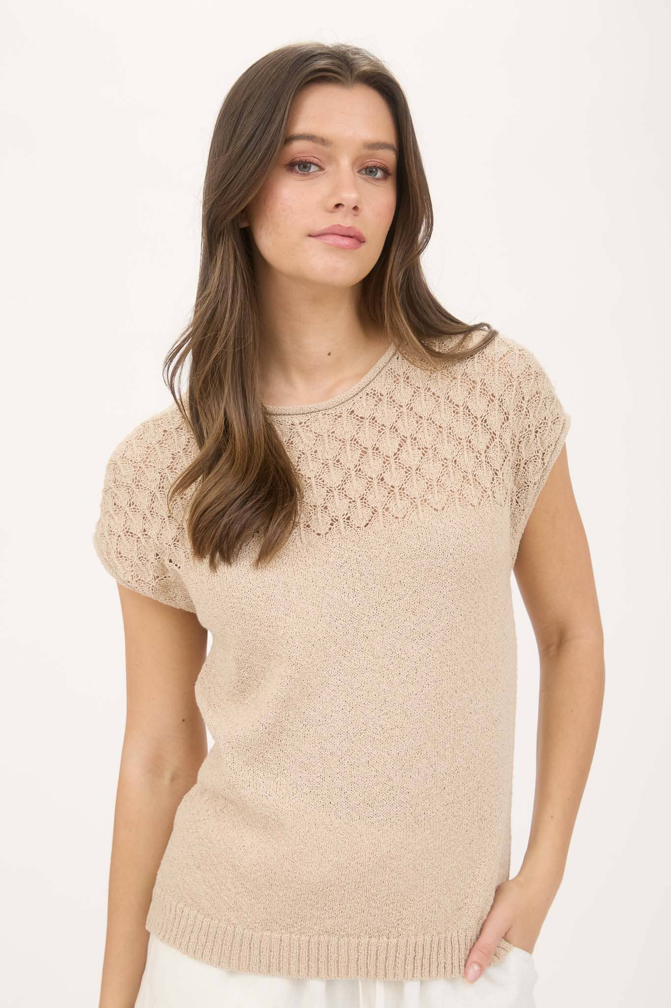 Eyelet Yolk Sweater Knit Top
