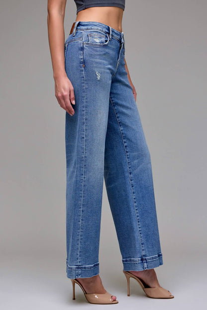 Hidden | Nori Vintage Low Rise Jeans