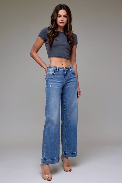 Hidden | Nori Vintage Low Rise Jeans