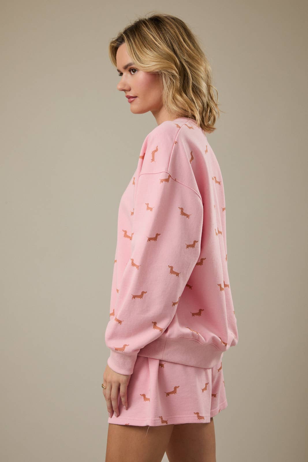 Dachsund Lounge Set