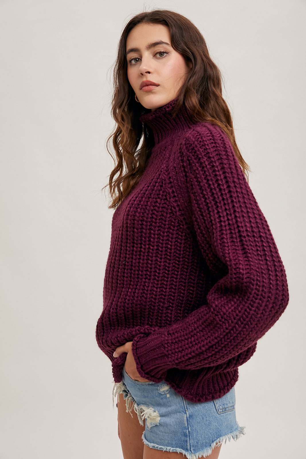 Chunky Turtle Neck Pullover