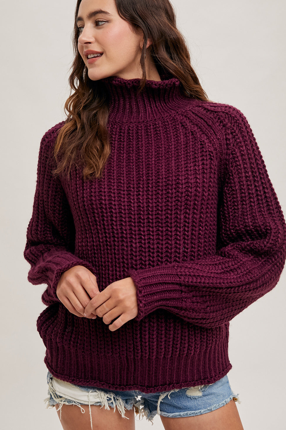 Chunky Turtle Neck Pullover