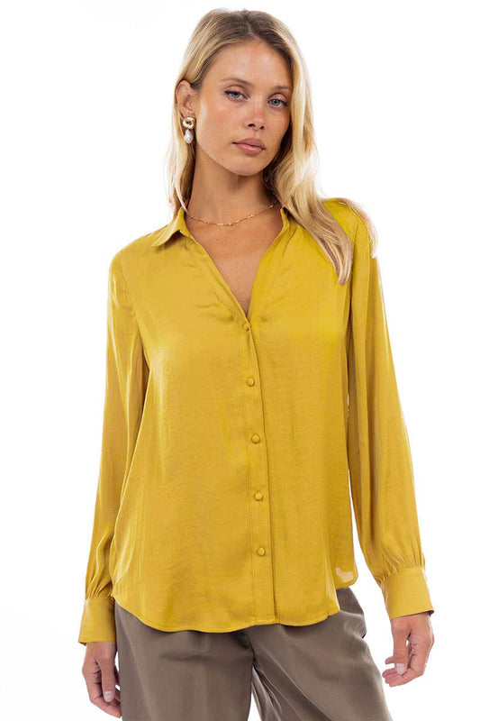 Classic V-Neck Button Down Blouse